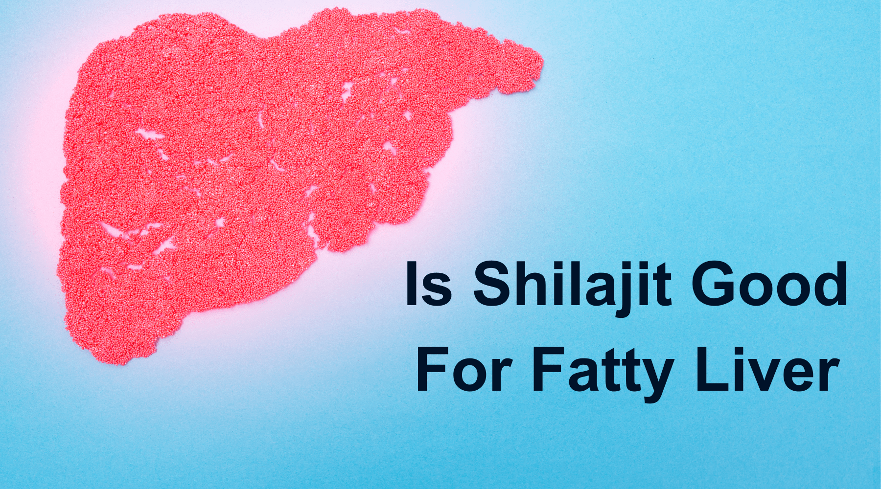 is-shilajit-good-for-fatty-liver-nature-s-blends