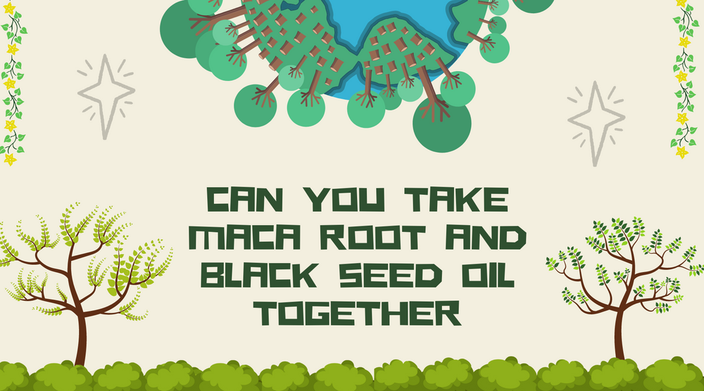 Can You Take Maca Root And Black Seed Oil Together