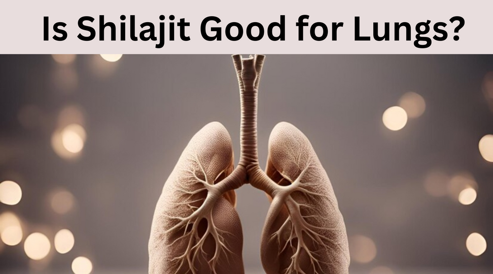 7 Benefits: Is Shilajit Good for Lungs?