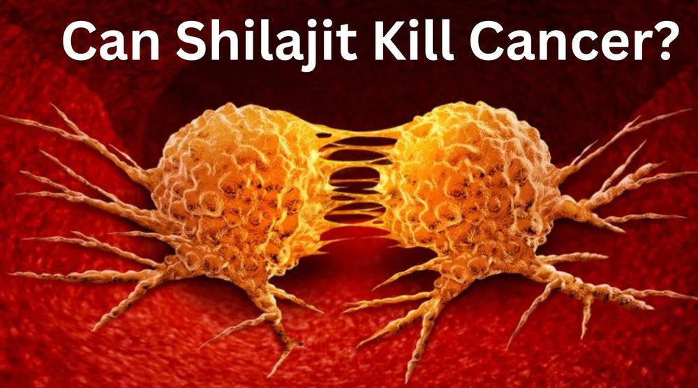 5 Scientific Facts: Can Shilajit Kill Cancer?