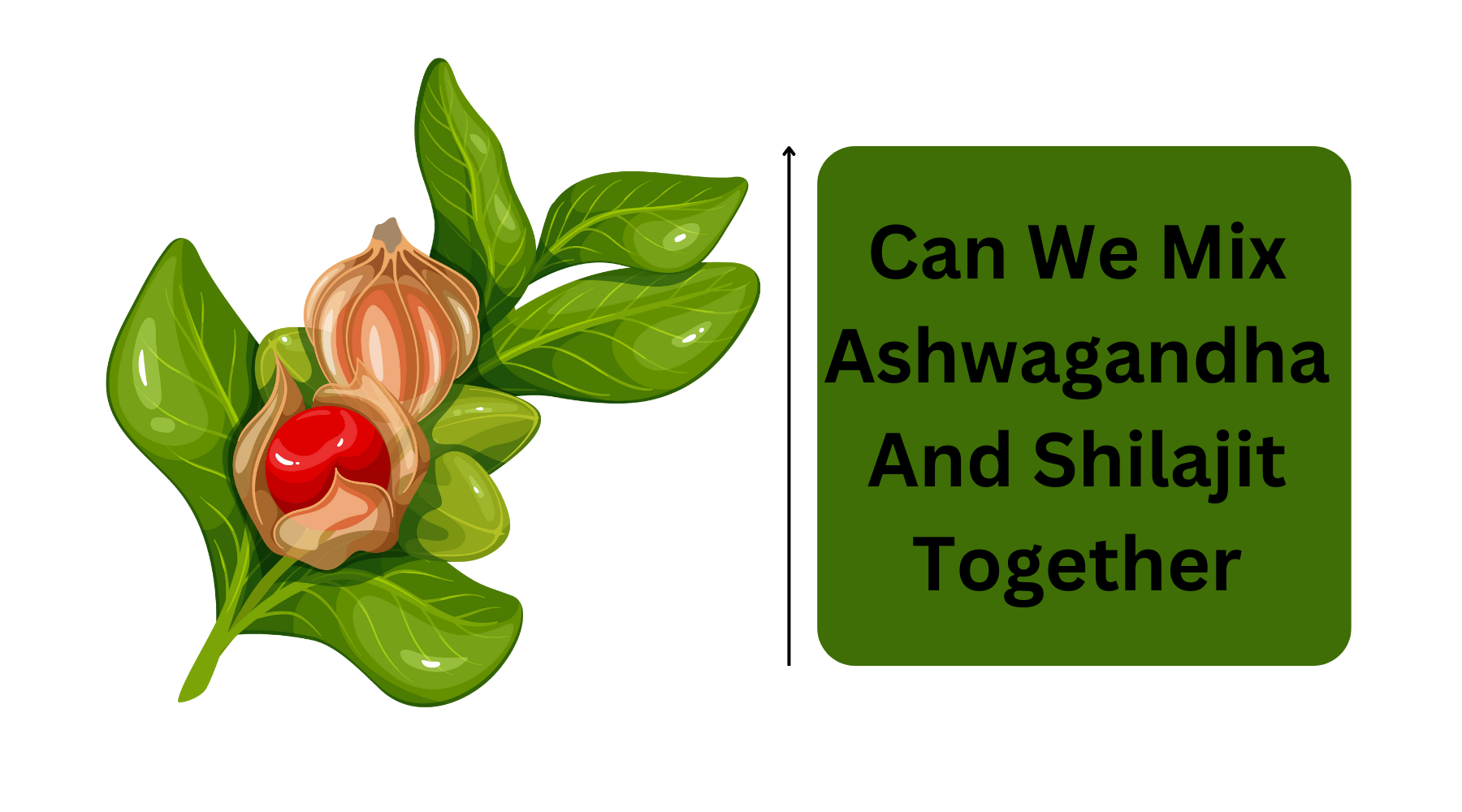 can-we-mix-ashwagandha-and-shilajit-together-nature-s-blends