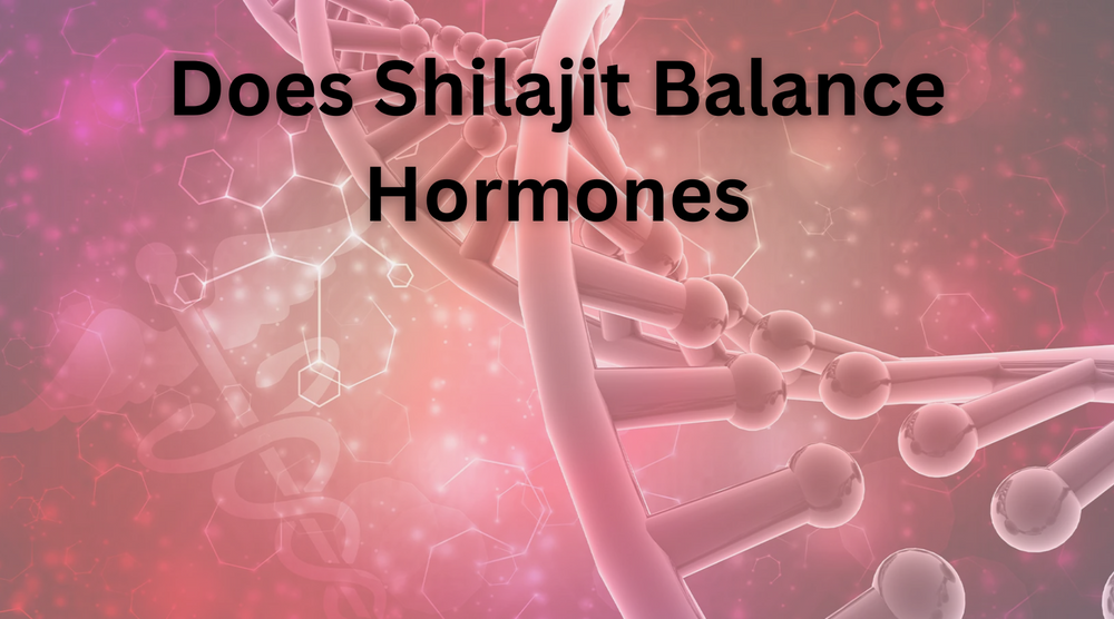 7 Key Benefits: Does Shilajit Balance Hormones?