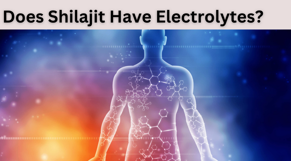 6 Surprising Facts: Does Shilajit Have Electrolytes?