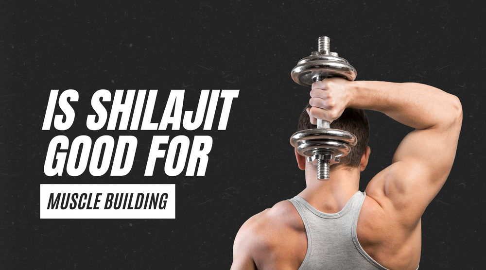 Is Shilajit Good For Muscle Building