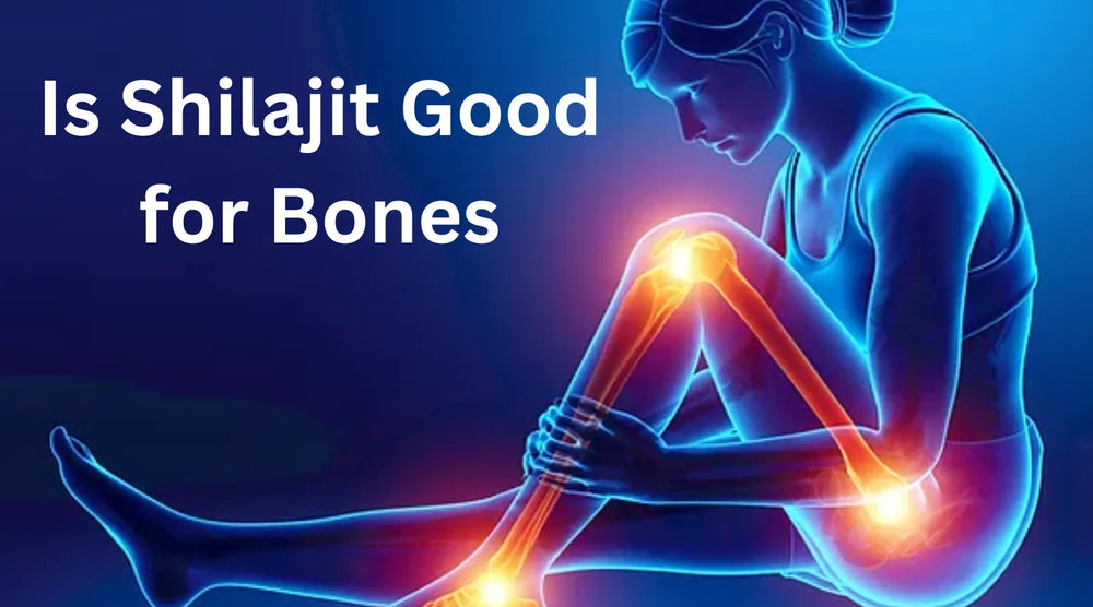 5 Powerful Benefits: Is Shilajit Good for Bones?