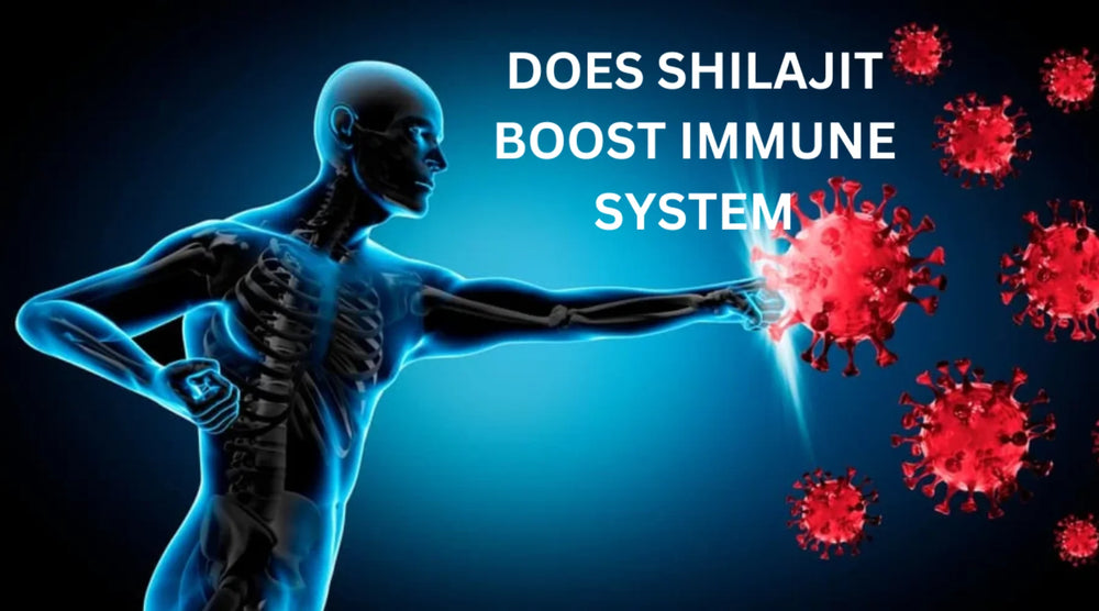 Does Shilajit Boost Immune System